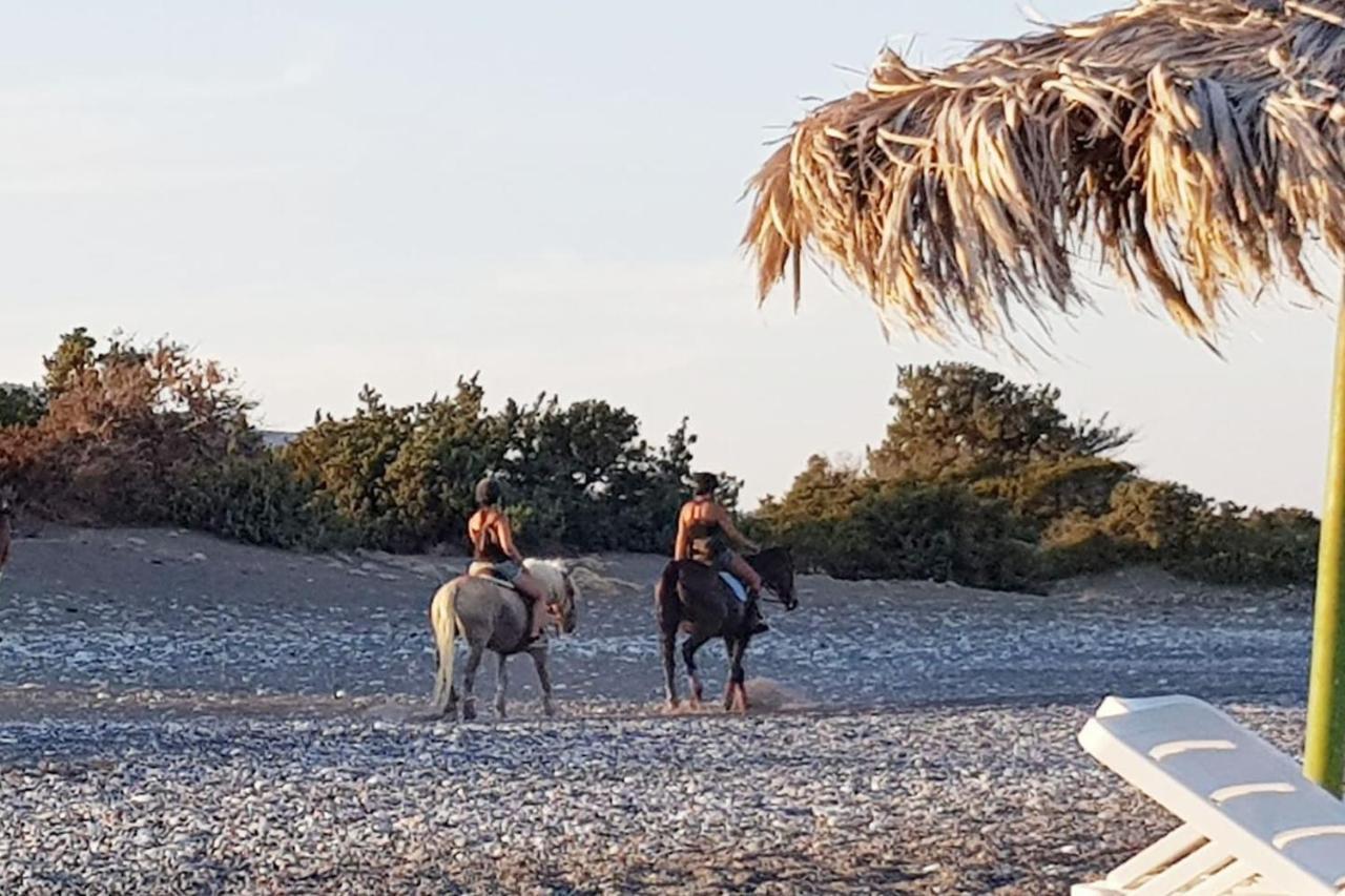 Apartment Cedrus And Sea, Beachfront House, Gennadi, Rhodes